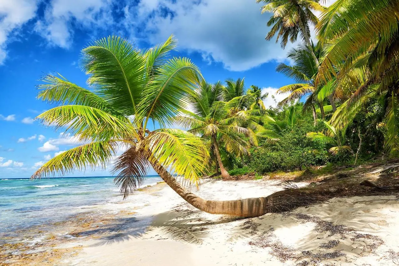 Gava Hostel Punta Cana Dominik Cumhuriyeti